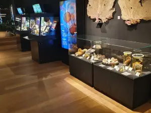 Natuurmuseum Fryslan
