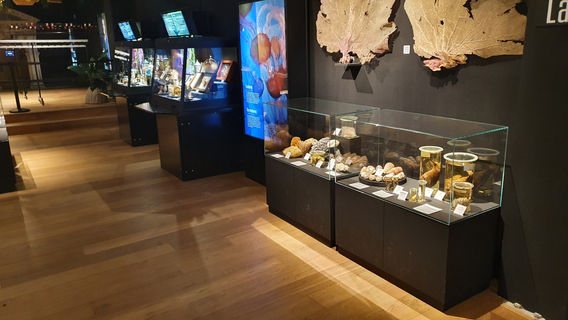 Natuurmuseum Fryslan