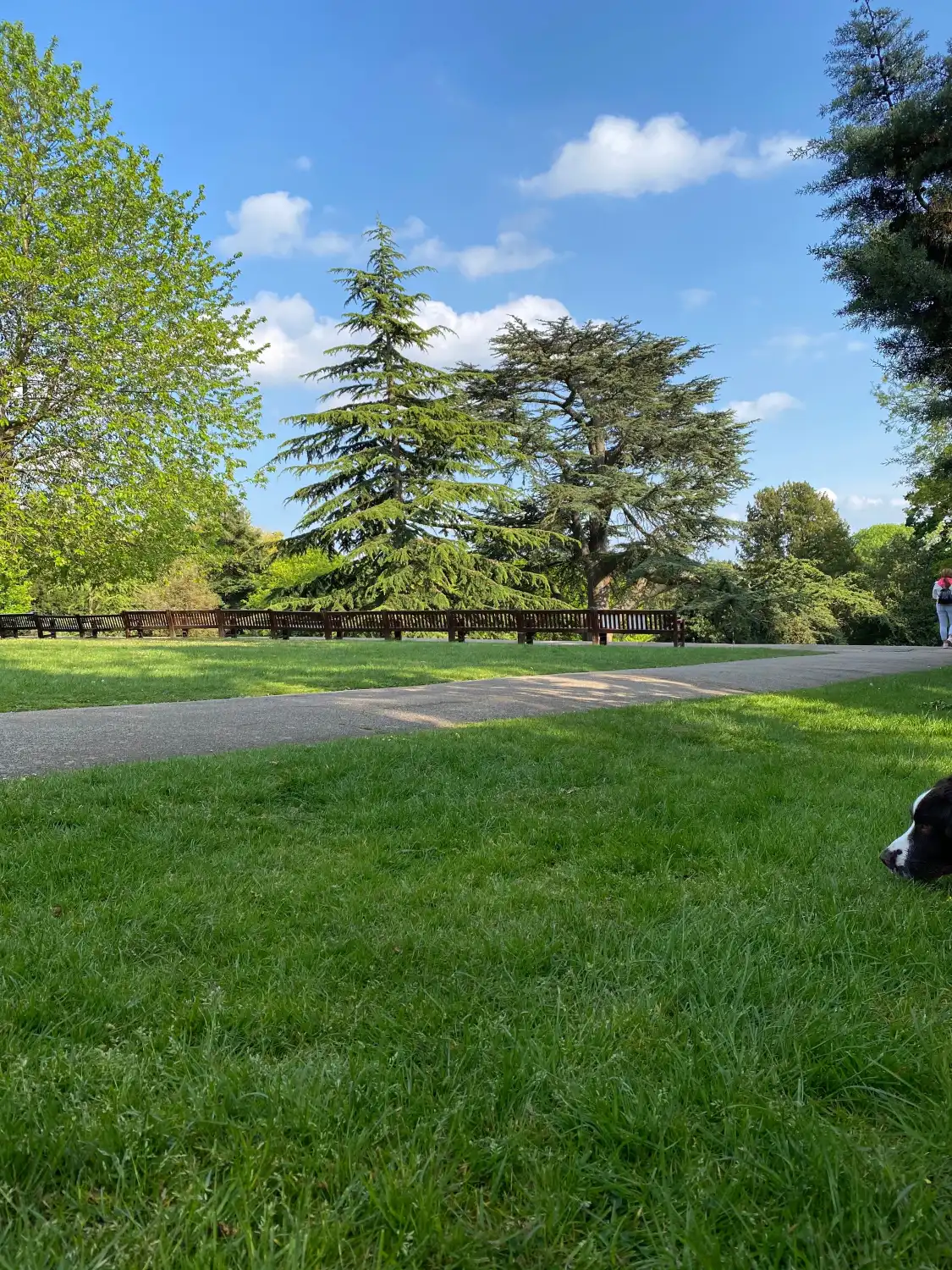 스트리탐 커먼 주변 호텔