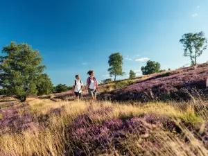 Lüneburger Heide