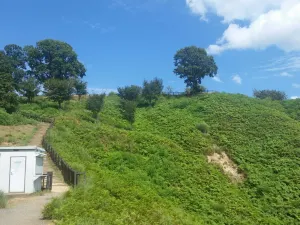 Mt. Wakakusa