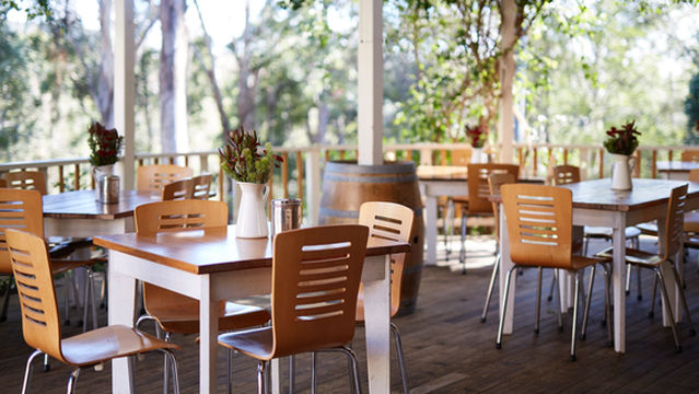 Briar Ridge Vineyard