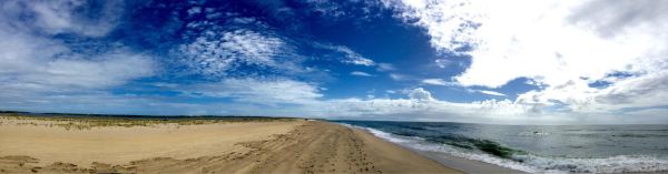 vlucht New York naar Martha's Vineyard