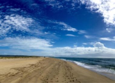 Martha's Vineyard