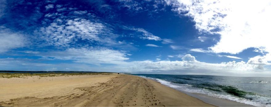 Martha's Vineyard