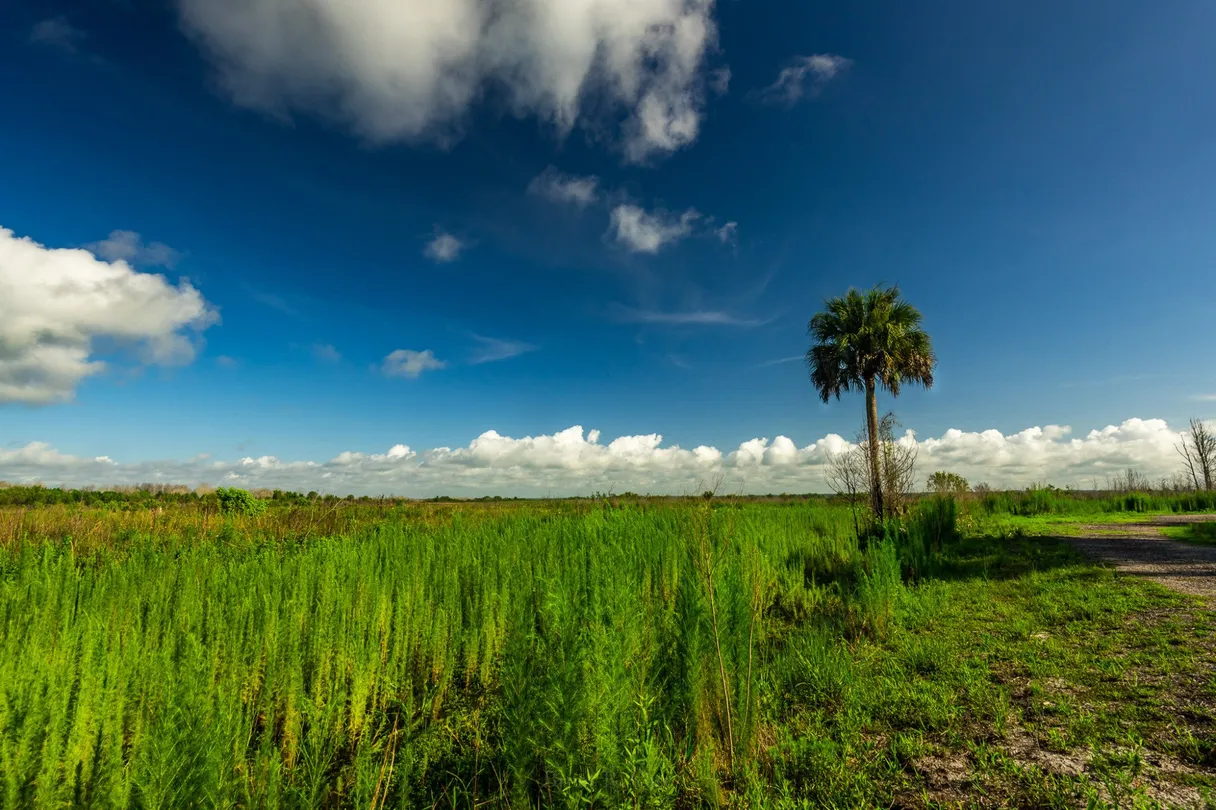 4_Paynes Prairie Preserve State Park