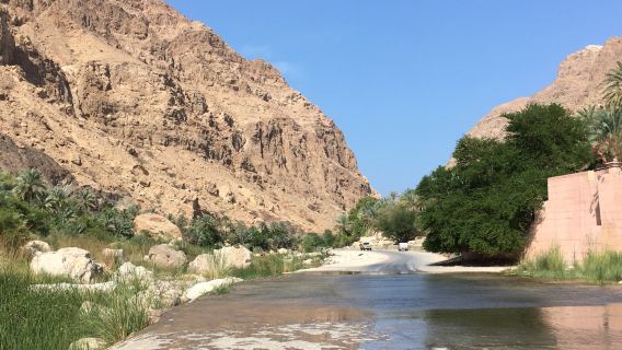 Wadi Tiwi