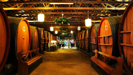 Pieter van Gent Winery & Vineyard