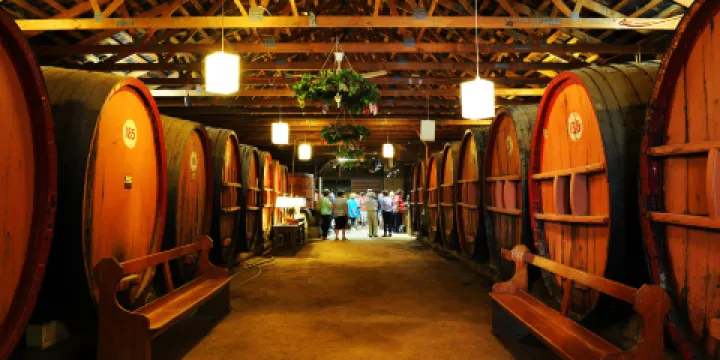 Pieter van Gent Winery & Vineyard