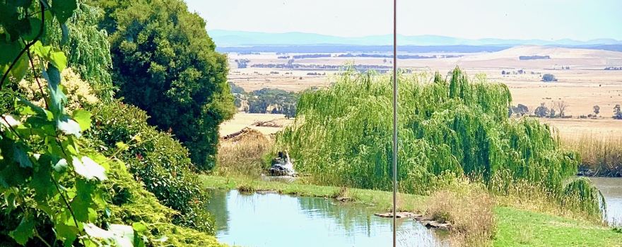 Tuki Trout Farm