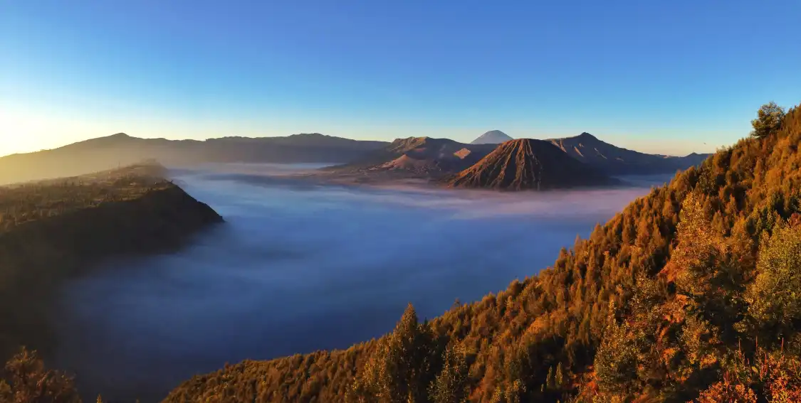 Hotels near Bromo Tengger Semeru Adventure