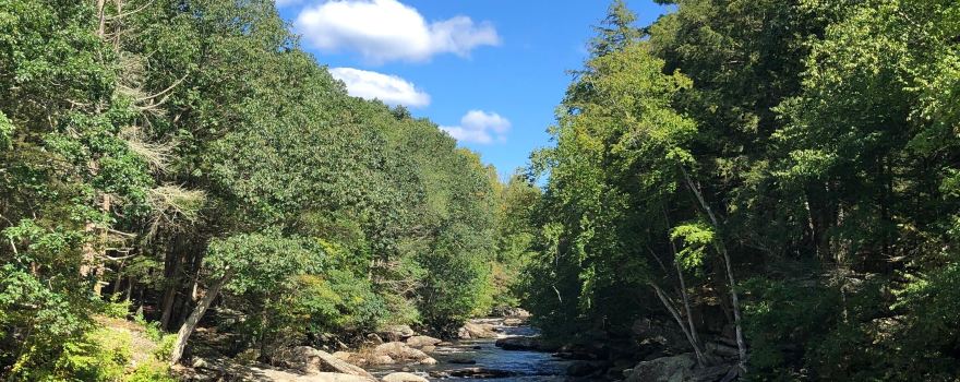 Oneida County