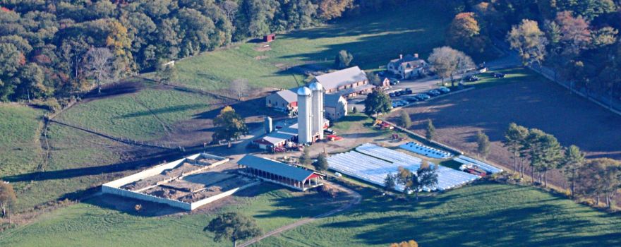 Hornstra Farms