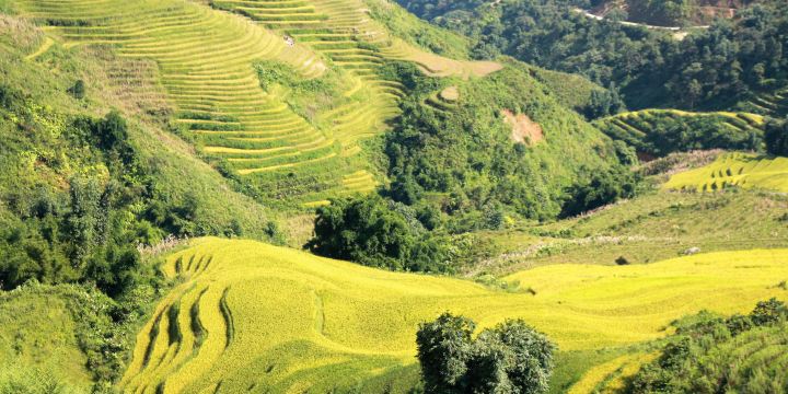 Muong Hoa valley