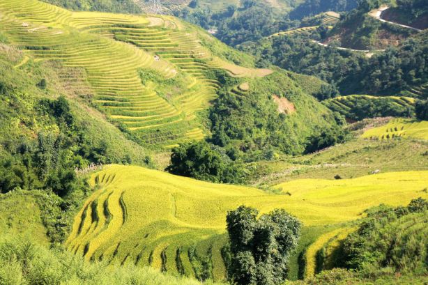 Muong Hoa valley