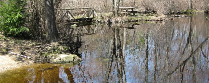 Pachaug State Forest