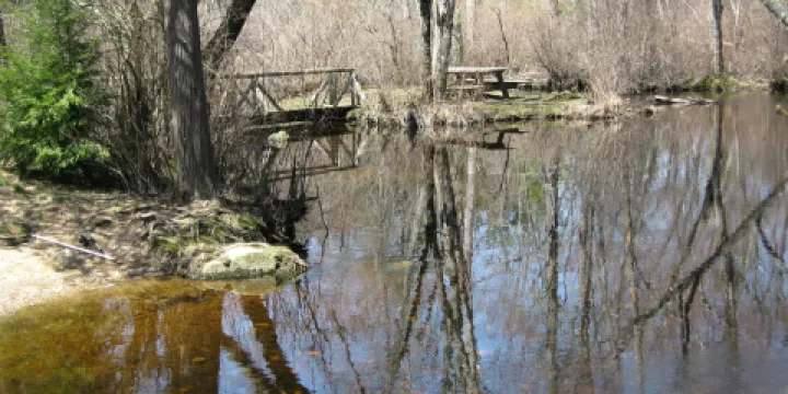 Pachaug State Forest