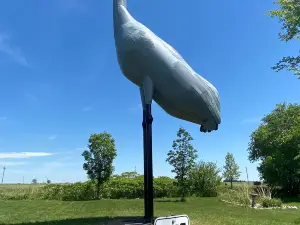 World's Largest Sandhill Crane