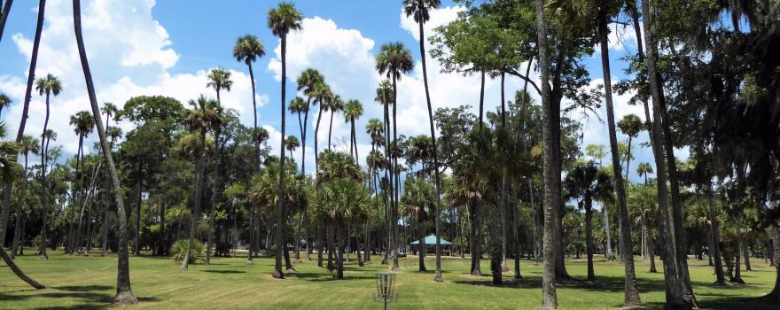 Reed Canal Park