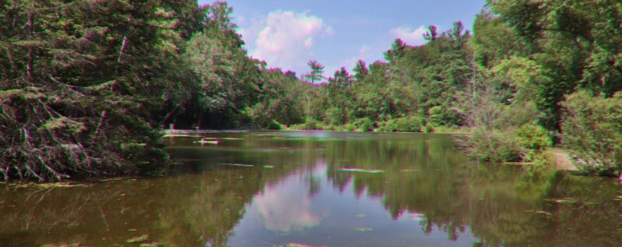 Saint Johns Conservation Area