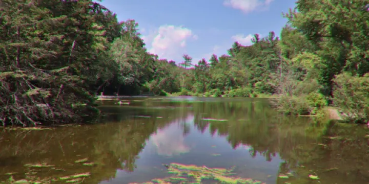 St. Johns Conservation Area