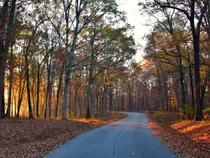 Stephen A. Forbes State Recreation Area