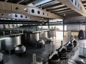 Bodegas Habla