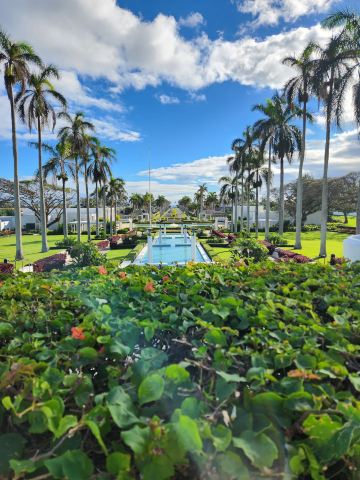 Laie