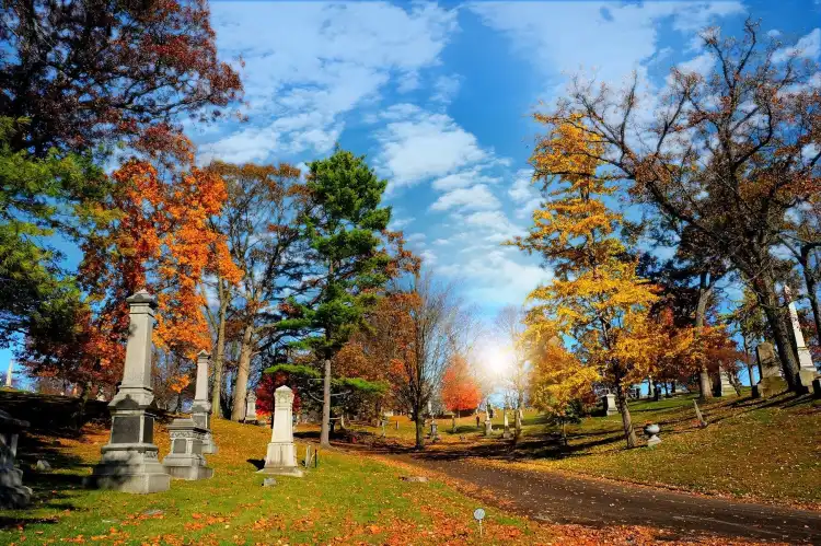 Hotels in Springfield