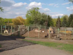 Bolsherechye Zoo