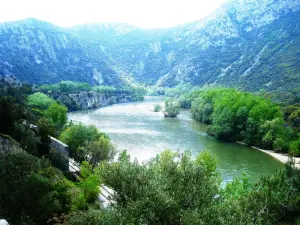 Nestos River