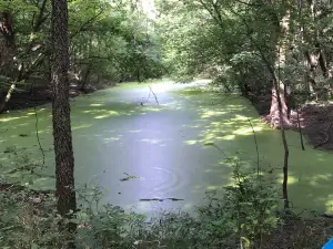 Wilderness Park
