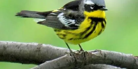 Jaltun Parque Recreativo