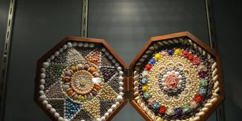 Oakes Museum of Natural History