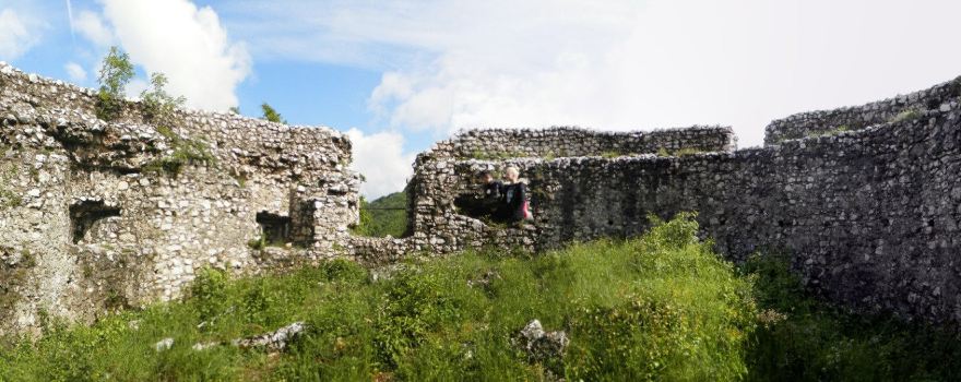 Turnul feudal Crivadia