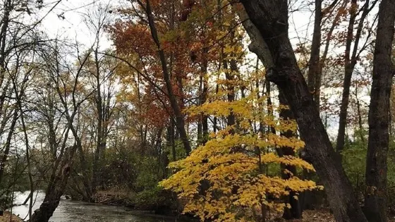 Dinosaur hill Nature Preserve