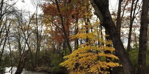 Dinosaur hill Nature Preserve