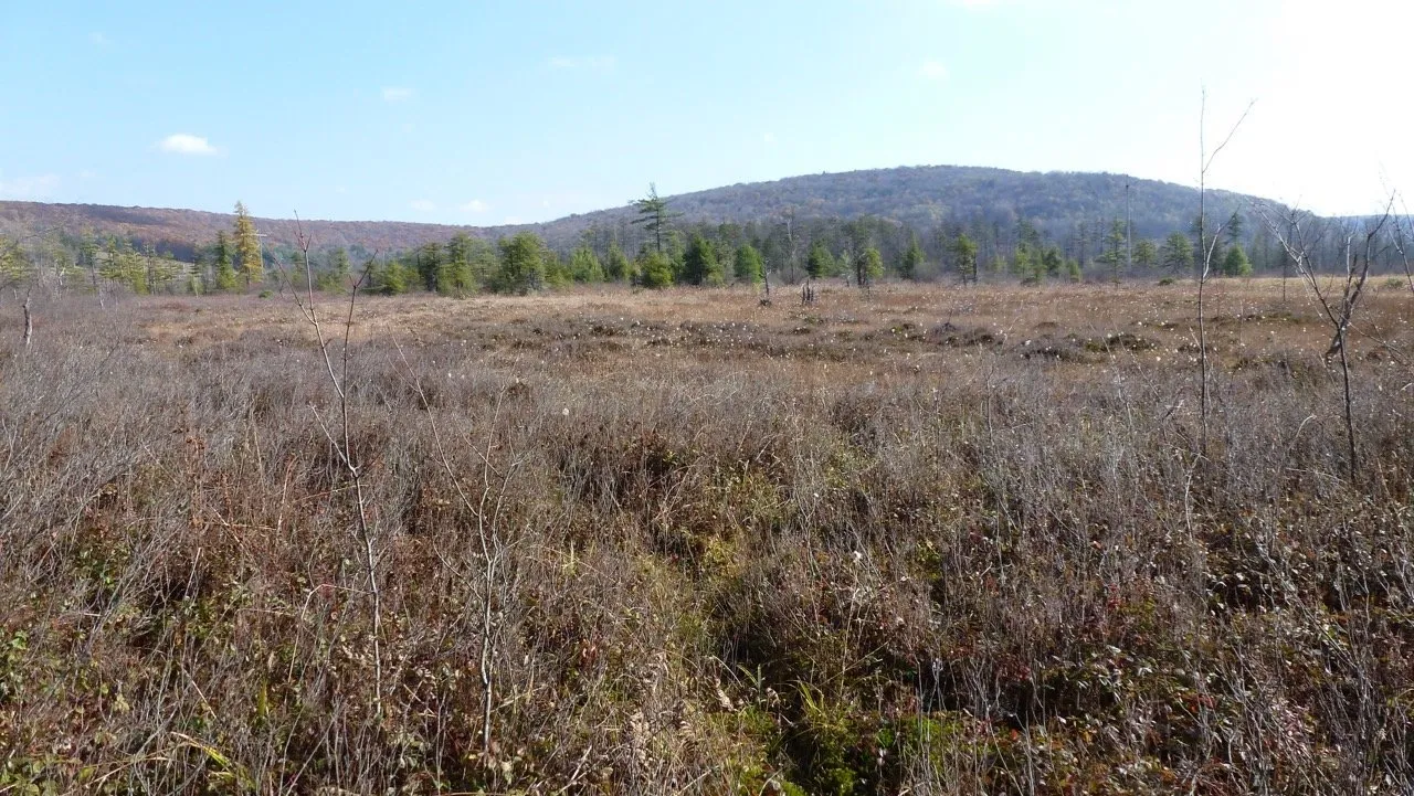3_Cranesville Swamp Nature Preserve