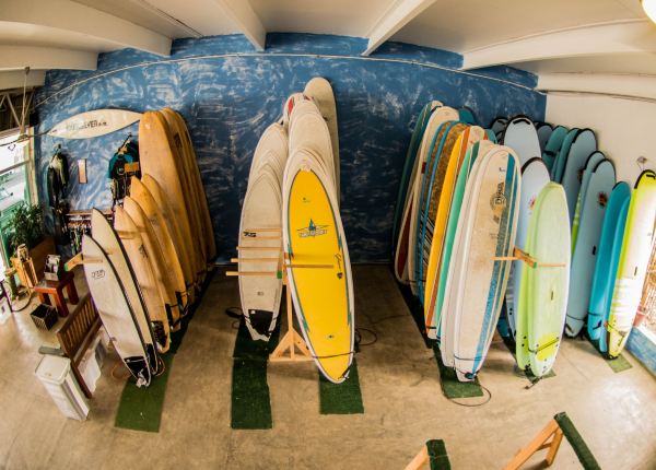 WildMex Surf School & Adventure Center, La Lancha, Punta Mita