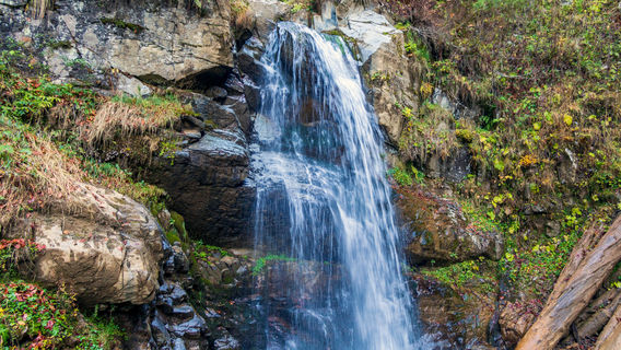 Park Falls "Mendeliha"