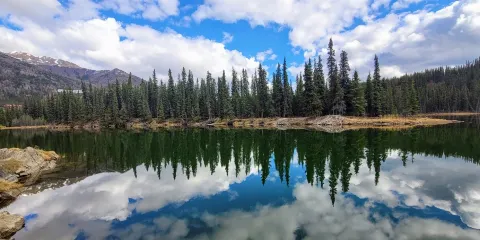 Horseshoe Lake Trail