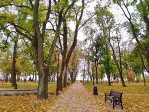 Park Tysiąclecia