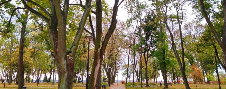 Park Tysiąclecia