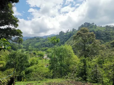 El Recuerdo Finca Cafetera Tradicional