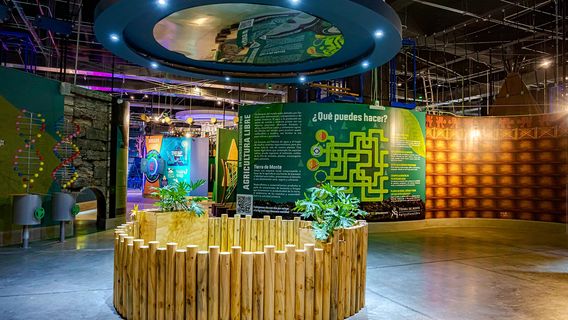 Acuario Michin Puebla