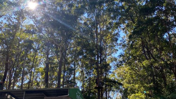 Coffs Harbour