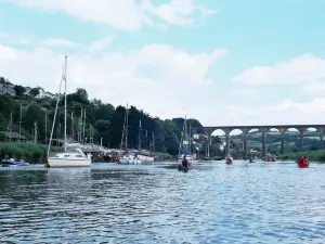 Tamar Trails Centre