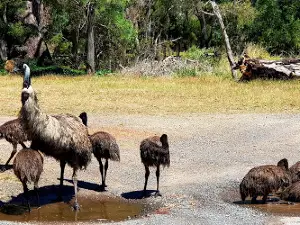 Breeze Holiday Parks - Halls Gap