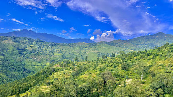 Shree Shaileshwari Temple