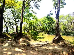 S. M. School & College Playground